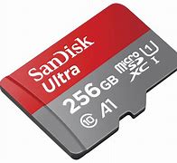 Image result for 256GB Snadisk SD Card