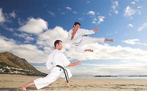 Image result for Beach Martial Arts