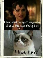 Image result for Grumpy Cat Yes Meme