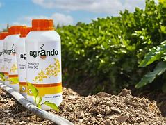 Image result for agricado