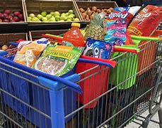 Image result for Shopping Bags for Shopping Carts