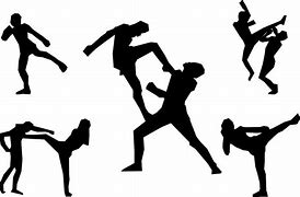 Image result for Martial Arts Clothes