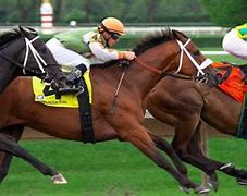 Image result for Racehorse Background