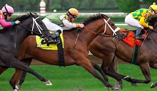 Image result for Horse Racing Screensavers