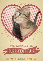 Image result for Cat Valentine Quotes