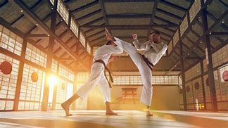 Image result for Karate Japan Art
