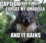 Image result for Forgot My Umbrella Meme