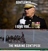 Image result for Marine Portrait Meme
