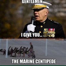 Image result for Marine Corps Jokes