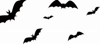 Image result for Transparent Halloween Bats