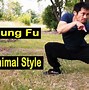 Image result for Kung Fu Animal Style Music