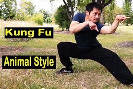 Image result for Kung Fu Animal Stances