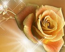 Image result for Rose Gold Colored Flowers