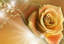 Image result for Rose Gold Roses Background