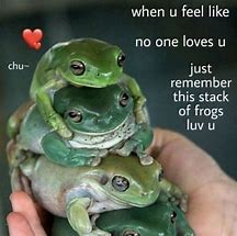 Image result for Cute Frog Meme