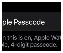 Image result for How to Unlock Apple Watch 5