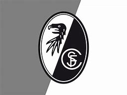 Image result for Freiburg Football Club