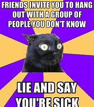 Image result for Anxiety Cat Meme