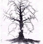 Image result for If You See This Tree