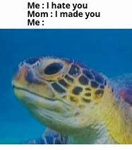 Image result for Sea Turtle Meme