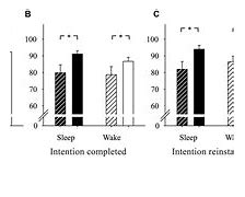 Image result for Sleep and Memory Consolidation