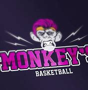 Image result for Baketball Team Logos