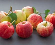 Image result for Apple Fruits 8