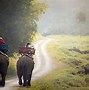 Image result for Laos Animals
