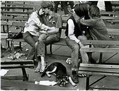 Image result for 1960s Lifestyle in America