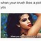 Image result for Funny Quotes About Crushes