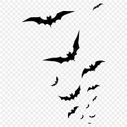Image result for Small Bat Color:Black