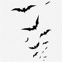 Image result for Small Bat Color:Black