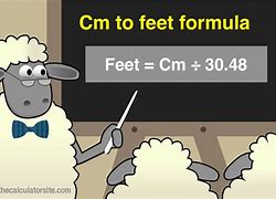 Image result for 20 Cm to Feet