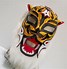 Image result for Tiger Mask Wrestling