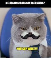 Image result for Best Boss Ever Cat Meme