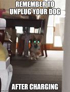 Image result for Dog Charging Meme