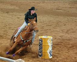 Image result for Horse Quotes Barrel Racing