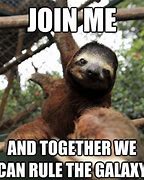 Image result for First Sloth Meme