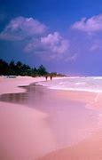 Image result for Club Med San Salvador Bahamas