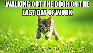 Image result for Memes About Work 9 to 5