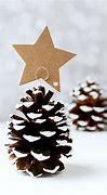 Image result for Pinecone Place Card Holders