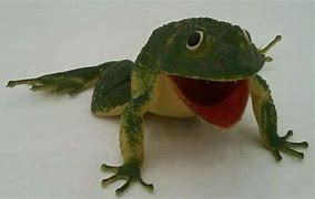 Image result for 90s Frog Toy