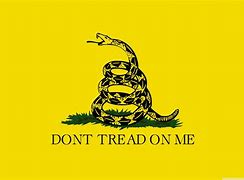 Image result for Don't Tread On Me Flag