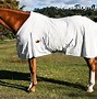 Image result for Cotton Summer Rugs Equine