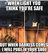 Image result for Stalker Cat Meme