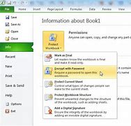 Image result for How to Add Password On Excel