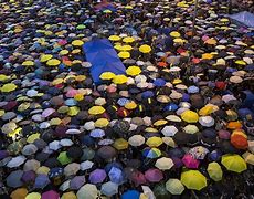 Image result for Hong Kong Umbrella Movement