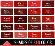 Image result for What Is a Tint in Color