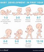 Image result for Newborn Physical Development