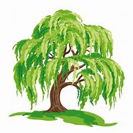 Image result for Willow Tree Clip Art Autumn
